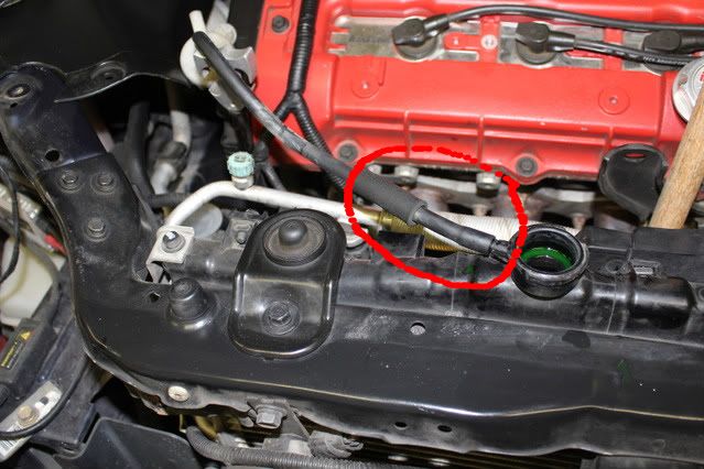 hyundai radiator bottom foam strip why do cats bite and lick